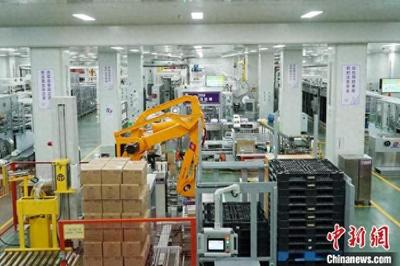 泉州競逐新質生產力 以個人衛生用品產業引領高質量發展新路徑